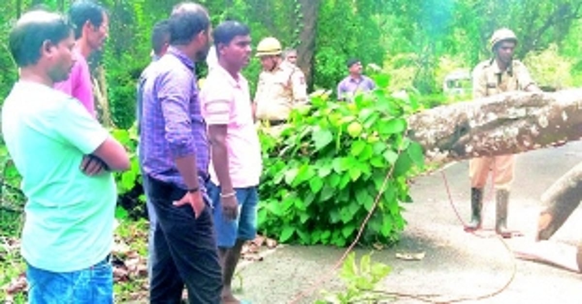 Unseasonal heavy rains cause damage in Ponda, Dharbandora