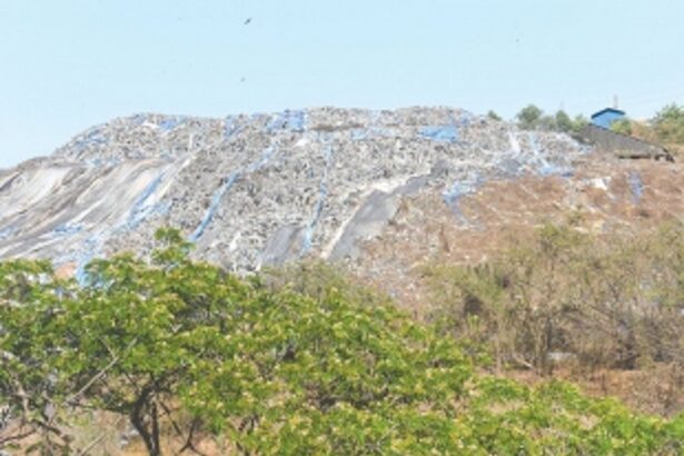 Unseasonal showers hamper bioremediation of Sonsoddo’s hillock of legacy garbage