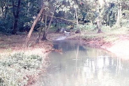 Untreated sewage causes damage to local ecology