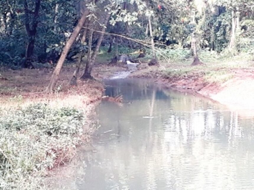 Untreated sewage causes damage to local ecology