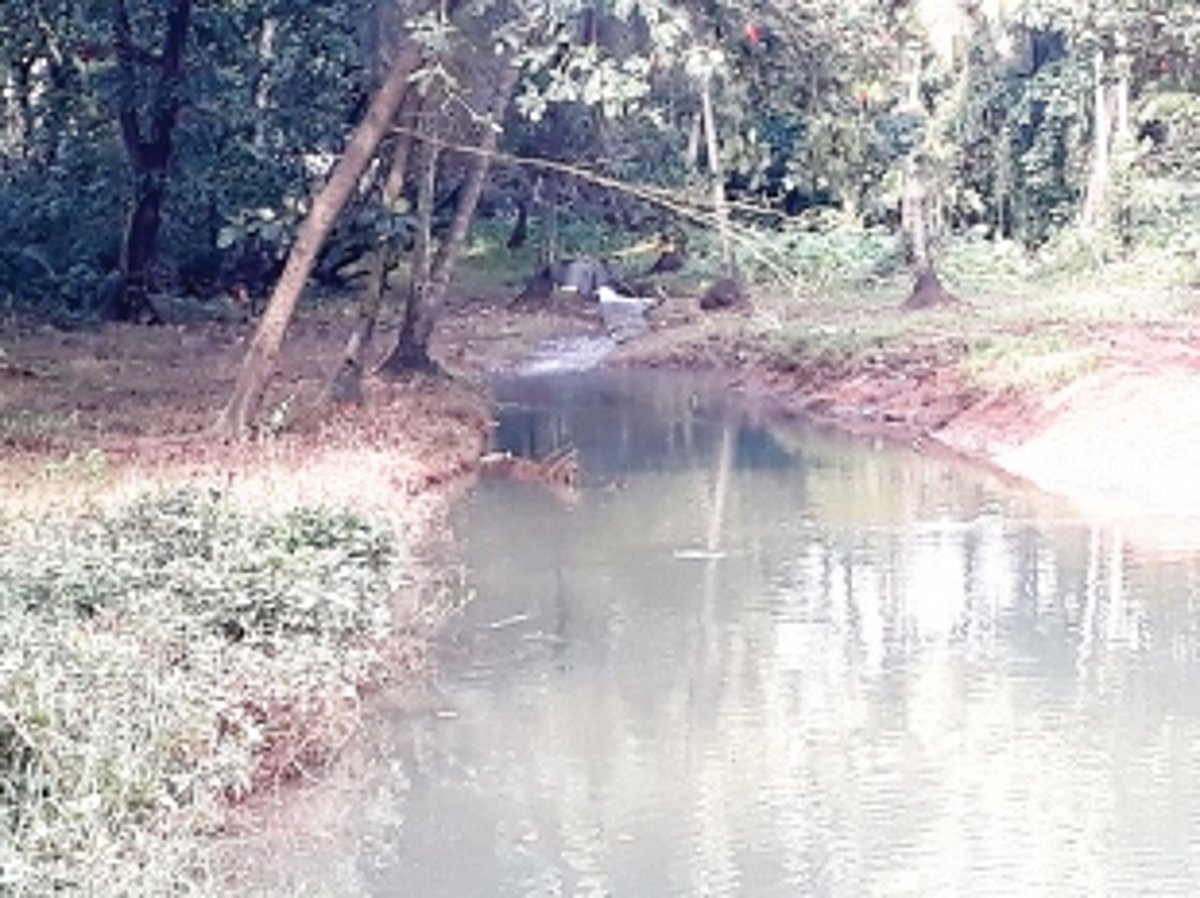 Untreated sewage causes damage to local ecology