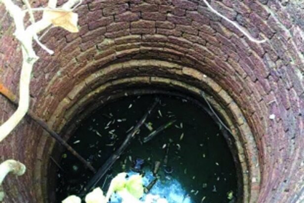 Unused wells in Canacona breeding grounds for moquitoes