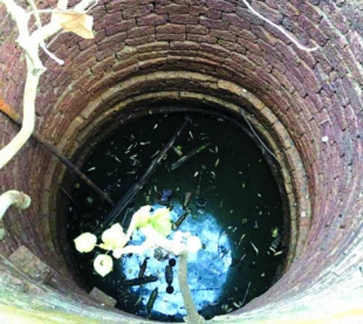 Unused wells in Canacona breeding grounds for moquitoes