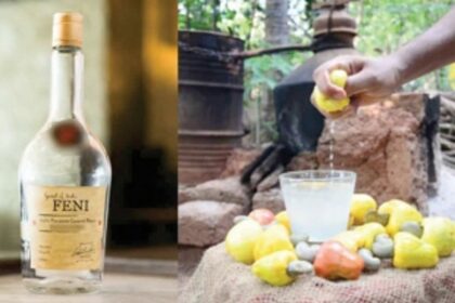 Upcoming Feni policy to be Feni-tastic for the industry