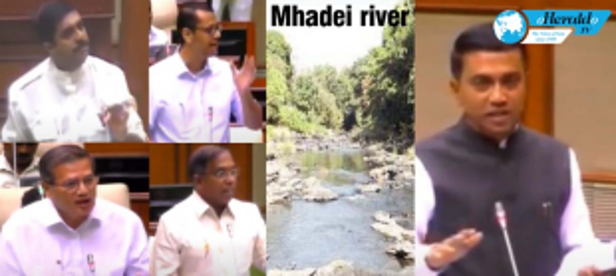 Uproar in Goa Assembly over Mhadei river diversion