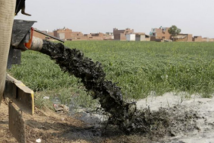 Urbanisation of Canacona leading to increased  discharge of sewage in fields