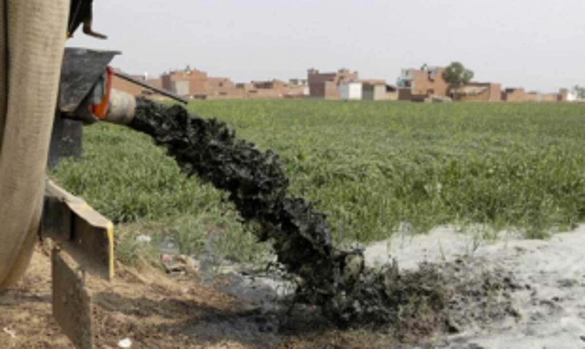 Urbanisation of Canacona leading to increased  discharge of sewage in fields