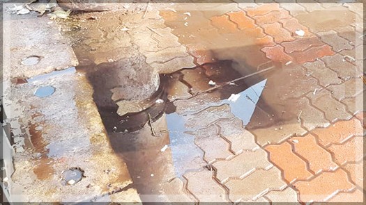 Urgent Call for Cleanliness at Mapusa Fish Market Amid Dangerous Conditions