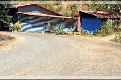 Urgent Repairs Needed for Deplorable Dando-Mollo Road in Velsao