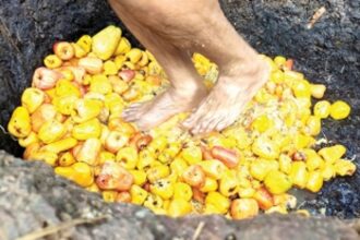 Urrak - the favourite drink of Goans in lockdown mode