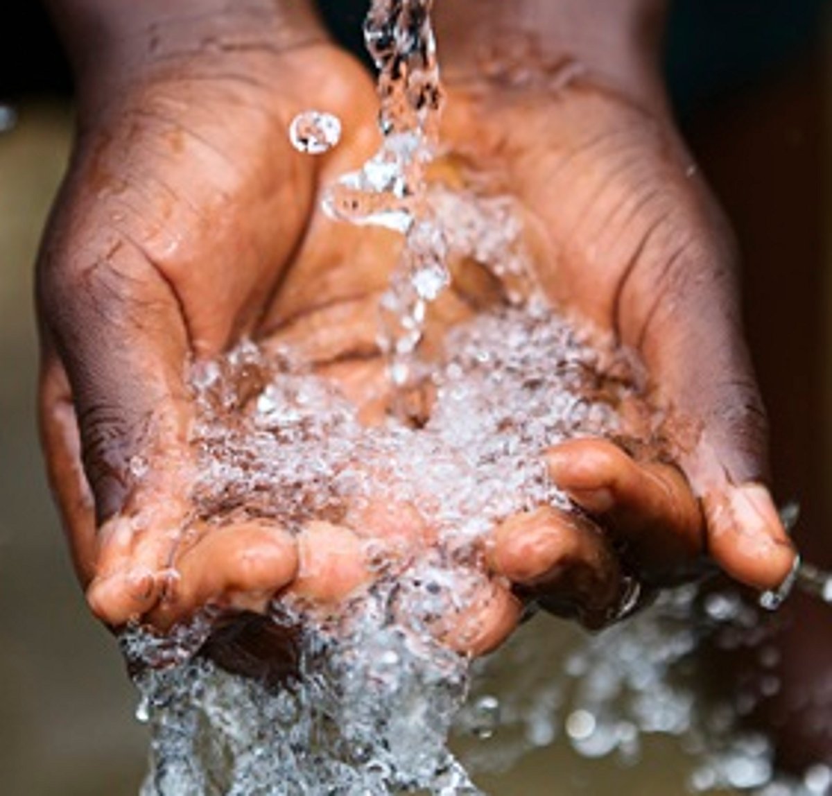 Usgao water consumers  oppose inclusion  in PWD Valpoi