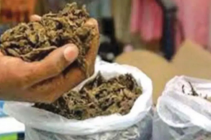 Uttar Pradesh Native Arrested by Mandrem Police in Narcotics Raid