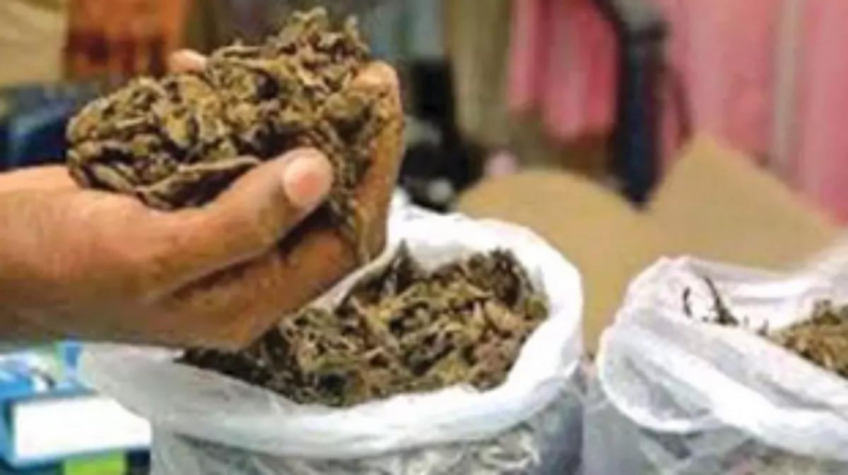 Uttar Pradesh Native Arrested by Mandrem Police in Narcotics Raid