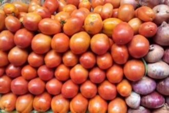 VEGETABLE RATES SHOOT THROUGH THE ROOF: Horticulture Dept vegetable rates up; market rates almost double