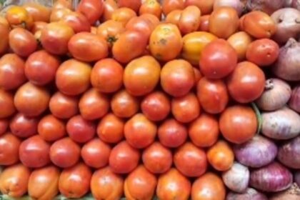 VEGETABLE RATES SHOOT THROUGH THE ROOF: Horticulture Dept vegetable rates up; market rates almost double