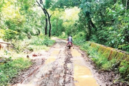 VELGEM-SALGINI ROAD IS ALMOST EXTINCT