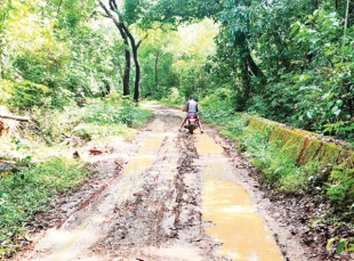 VELGEM-SALGINI ROAD IS ALMOST EXTINCT
