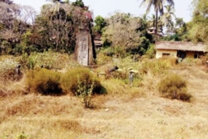 VMC garden to get makeover soon