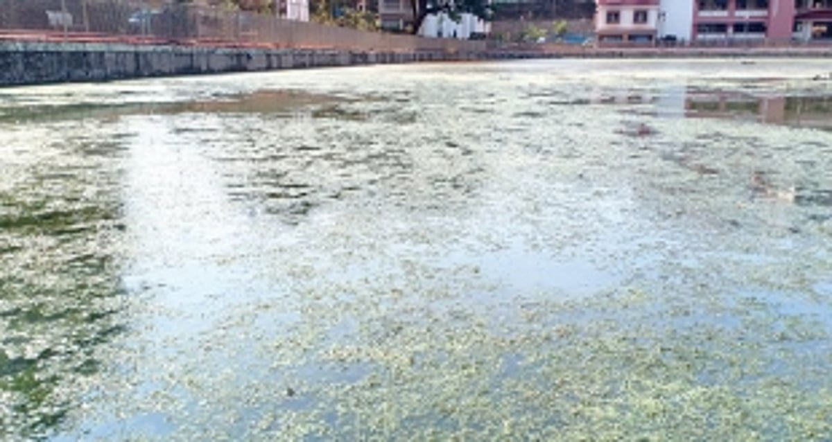 Vaddem Lake lies in a neglected state