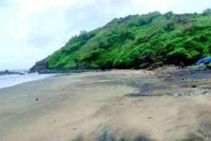 Vagator’s Dream Beach still a nightmare for Olive Ridley turtles