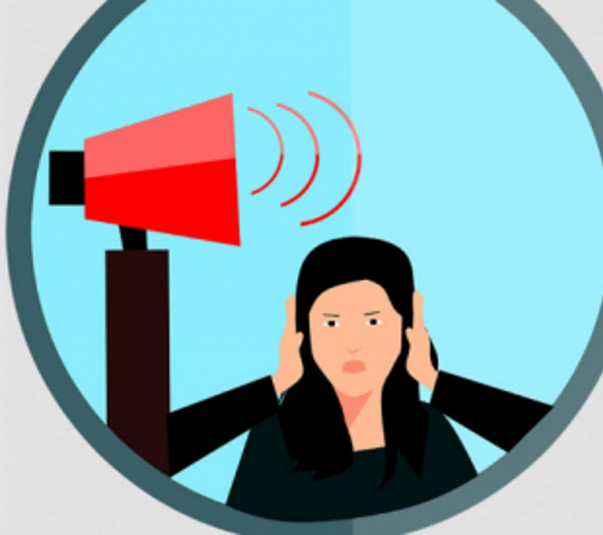 Vagator’s noise polluter has no fear of law