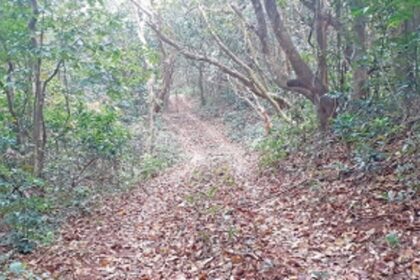 Vagheri Hill faces axe for project