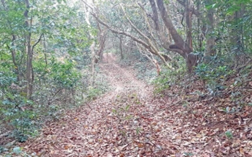 Vagheri Hill faces axe for project