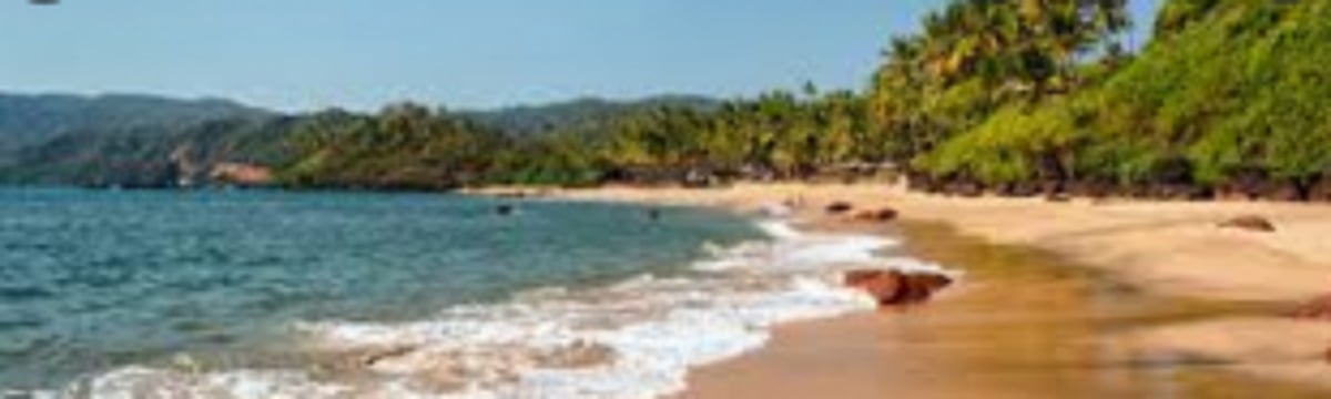 Vainguinim Valley Residents Association to continue protest