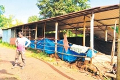 Vanarmare community all set to celebrate Ganesh Chaturthi