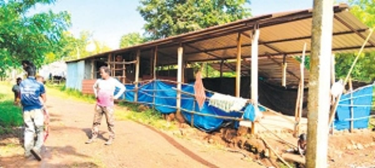 Vanarmare community all set to celebrate Ganesh Chaturthi