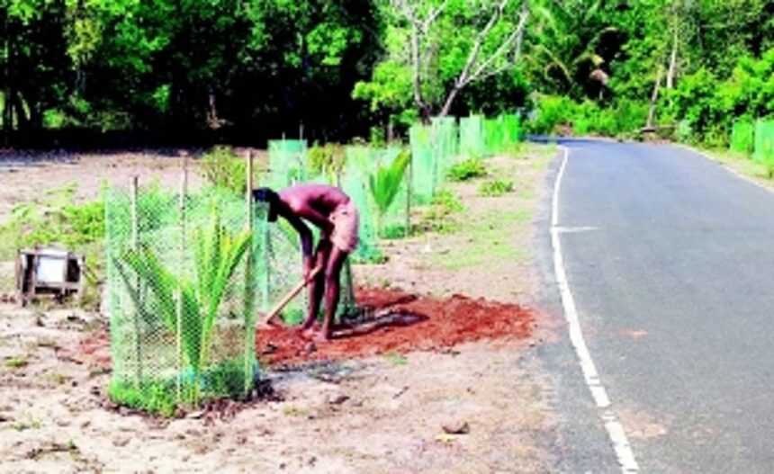 Varca locals stop gas pipeline works in private properties, agricultural lands