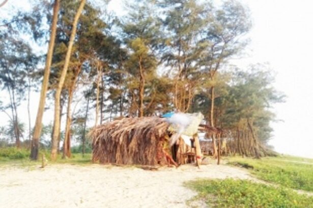 Varca’s migrants, dwindling fishermen are reasons white sands are abandoned