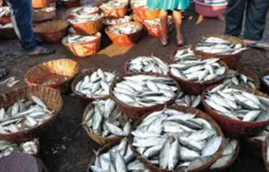 Vasco boat owners to continue to sell fish at wholesale rates