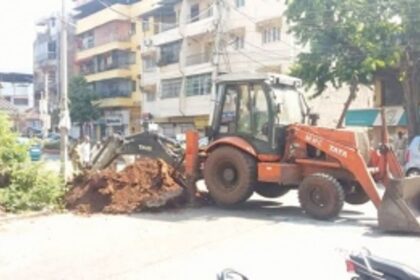 Vasco city to finally get fresh trees