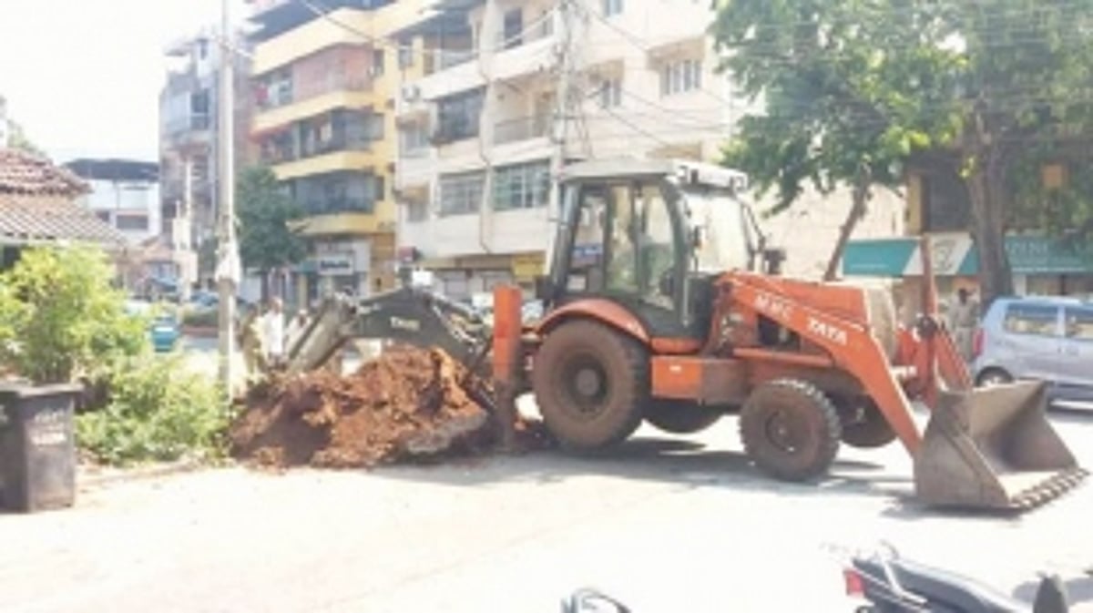 Vasco city to finally get fresh trees