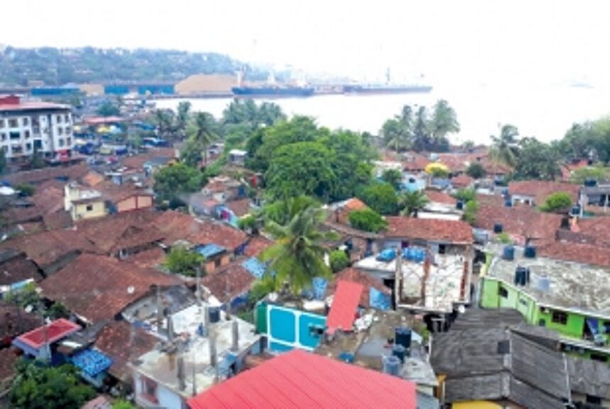 Vasco records sharp rise in dengue cases