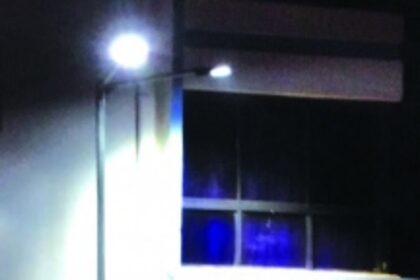 Vasco trees obstruct view