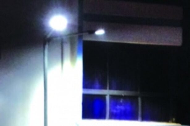 Vasco trees obstruct view