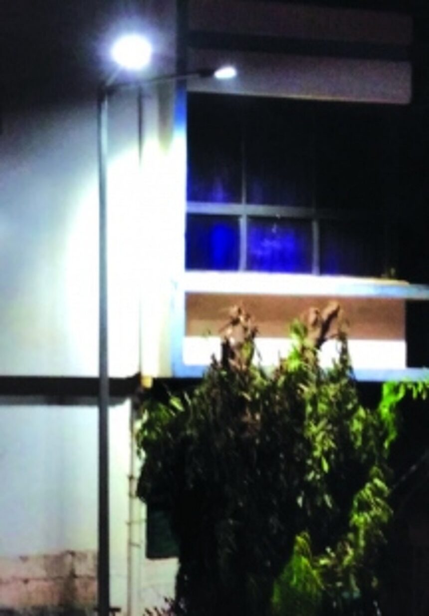 Vasco trees obstruct view