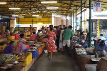 Vasco wholesale fish vendors ordered to shut biz within 7 days