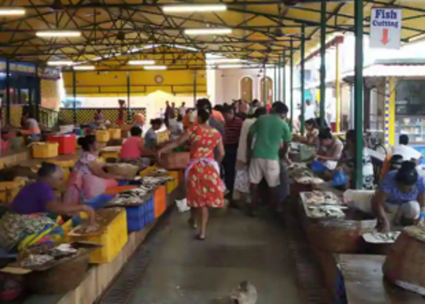 Vasco wholesale fish vendors ordered to shut biz within 7 days 1 Vasco wholesale fish vendors ordered to shut biz within 7 days