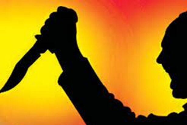 Vasco youth stabbed  to death over  previous enmity