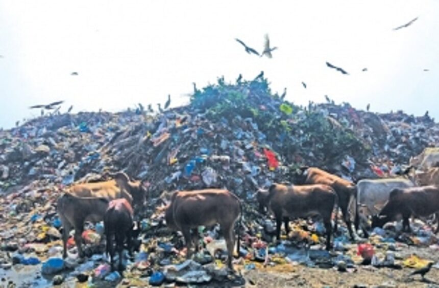 Vasco’s treatment plant remains dumped like garbage 1 Vasco’s treatment plant remains dumped like garbage