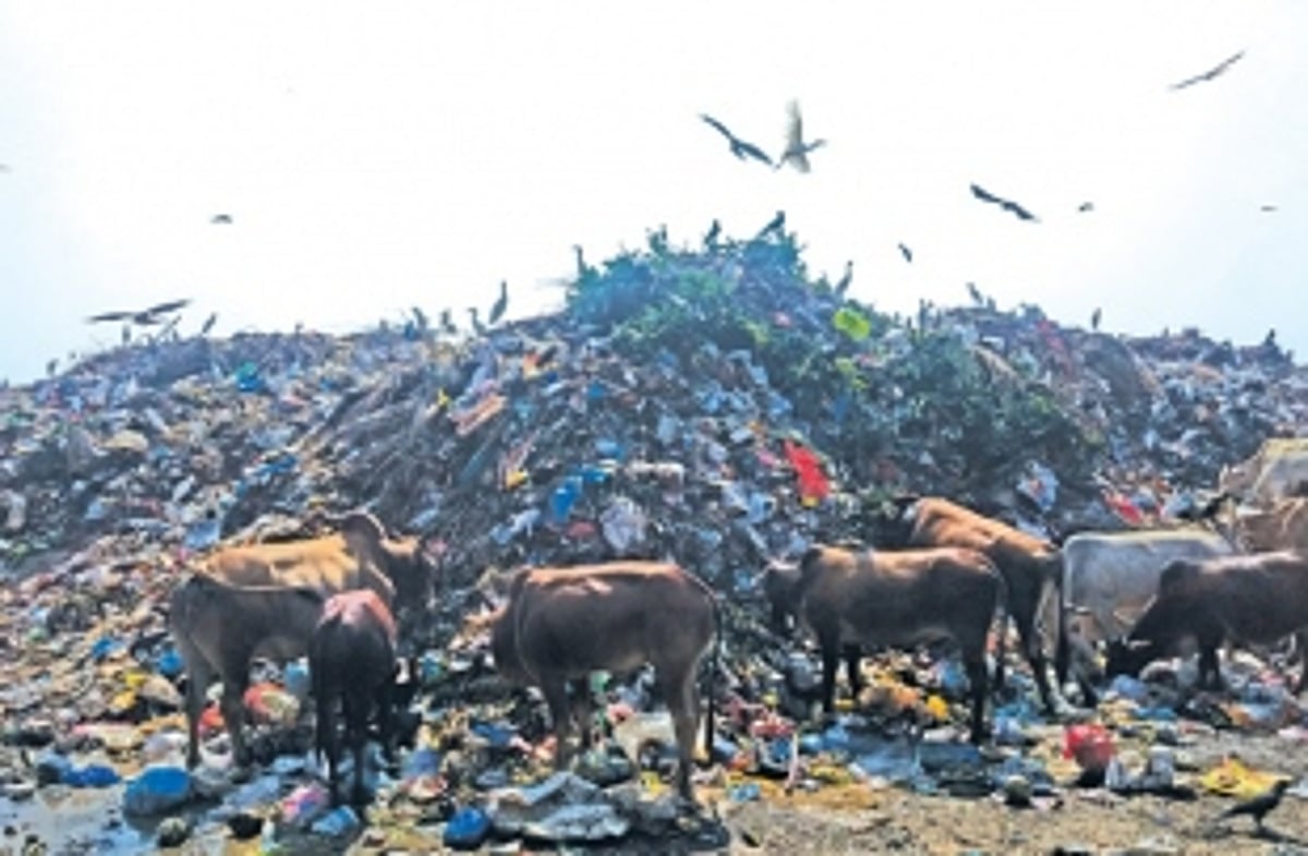 Vasco’s treatment plant remains  dumped like garbage