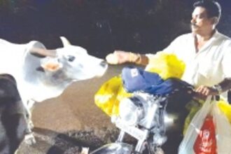 Vasudev ‘Daada’ Naik is Ponda’s ‘Motorcycle Samaritan’ for stray animals