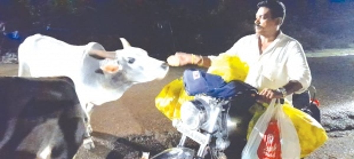 Vasudev ‘Daada’ Naik is Ponda’s ‘Motorcycle Samaritan’ for stray animals