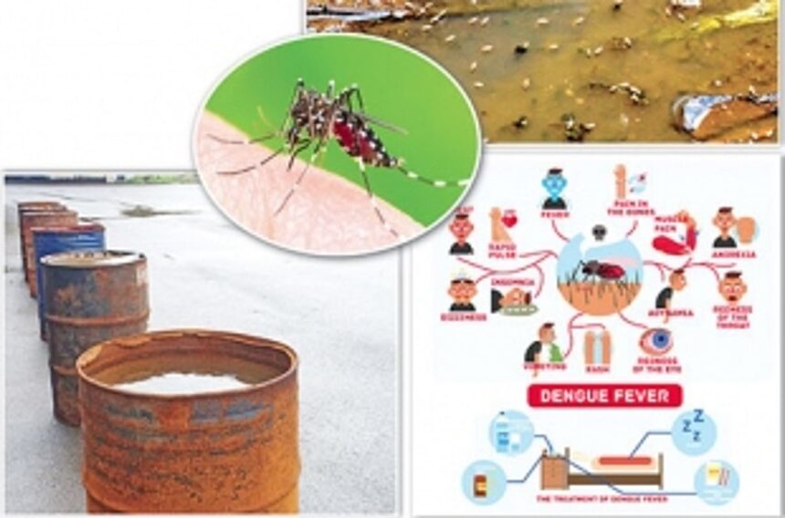 Vector-borne diseases on the rise in Mormugao 1 Vector-borne diseases on the rise in Mormugao