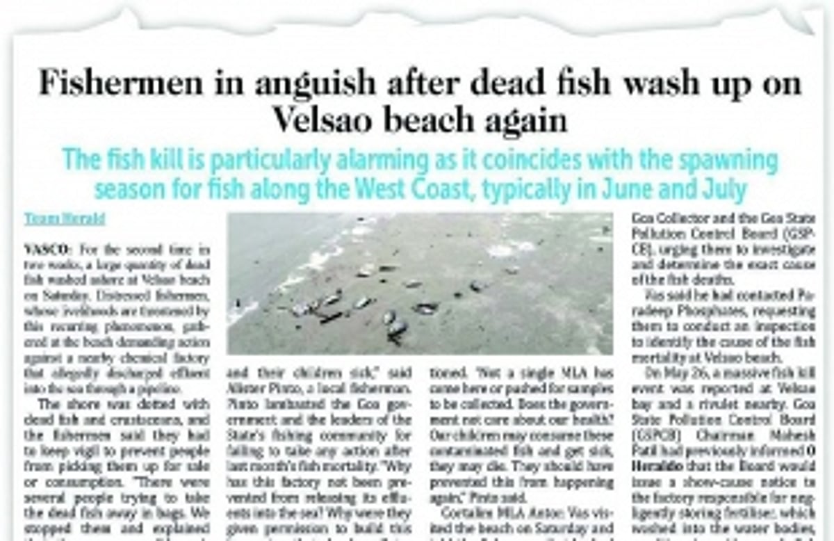 Velsao fish kill: With no action taken against fertiliser plant, fishers vow to approach NGT