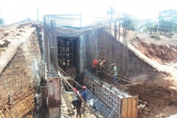 Velsao’s biodiversity protectors inspect Railway construction, express concern over damage, disruption and alteration of Mollo Creek's ecosystem