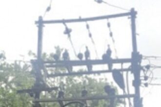 Velus without power supply for two days!